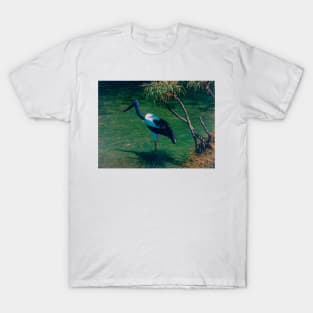 Iridyru Jabiru T-Shirt